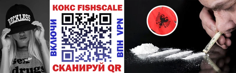 купить закладку  Мелеуз  Cocaine Fish Scale 