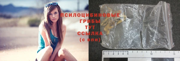 молекула духа Краснослободск