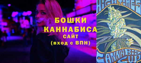 молекула духа Краснослободск