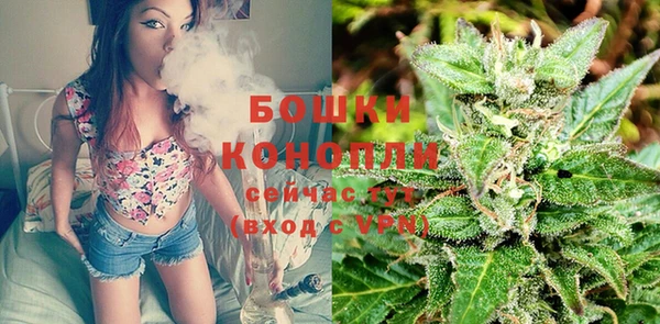 винт Костерёво